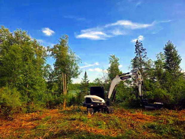 Land clearing crew removing brush and overgrowth from a property site
