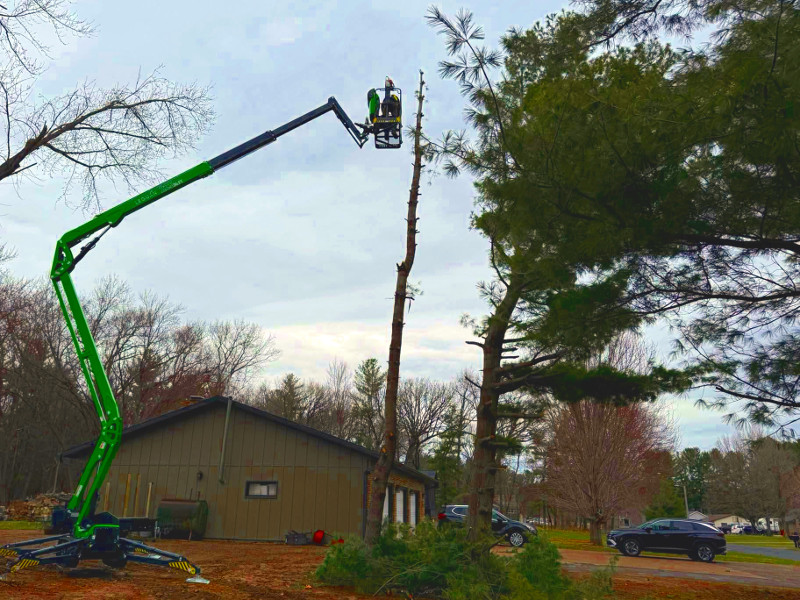 Professional tree cutting and removal service in Eau Claire, Wisconsin